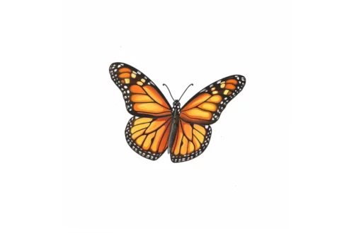 Pomarańczowy motyl - bajka dla dzieci