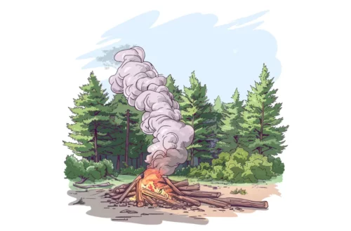 Dym unoszący się z ogniska w lesie